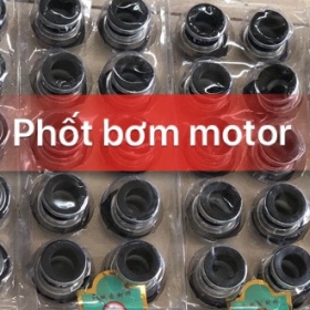 Phốt bơm motor vĩ 